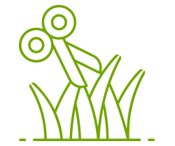 icon11-250x208.png