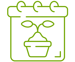 icon13-250x208.png