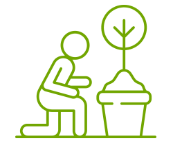 icon2-250x208.png