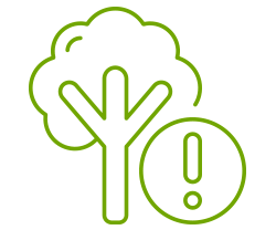 icon7-250x208.png